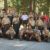 Summer Camp 2016 Rocked!
